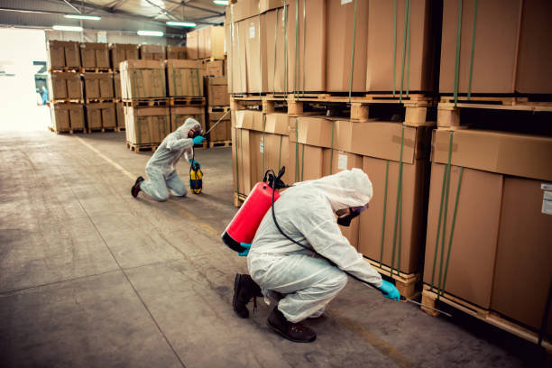 Best Flea Control Services  in Melbourne, FL