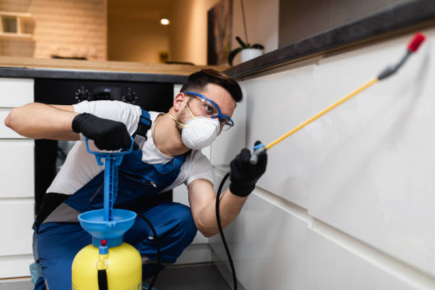 Best Pest Control Near Me  in Melbourne, FL
