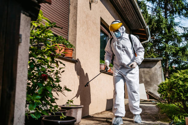 Best Mosquito Control Services  in Melbourne, FL