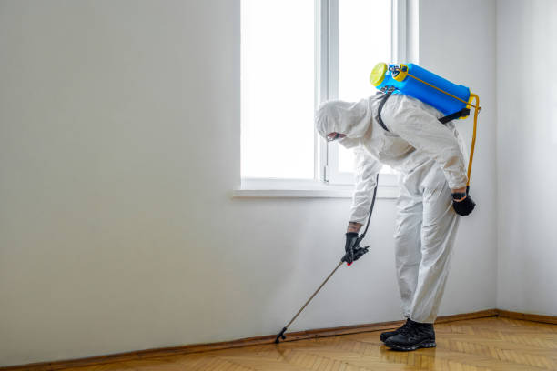 Best Ant Control Services  in Melbourne, FL