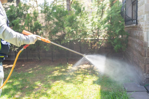 Best Wasp Removal Services  in Melbourne, FL